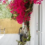Olive House Tatil Evi