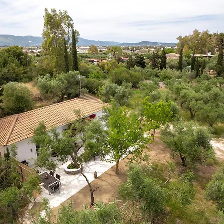Tatil Evi Olive House Kalamákion