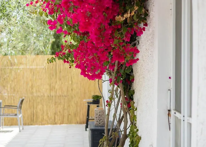 Olive House Casa vacanze