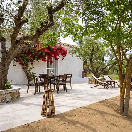 Olive House Kalamákion