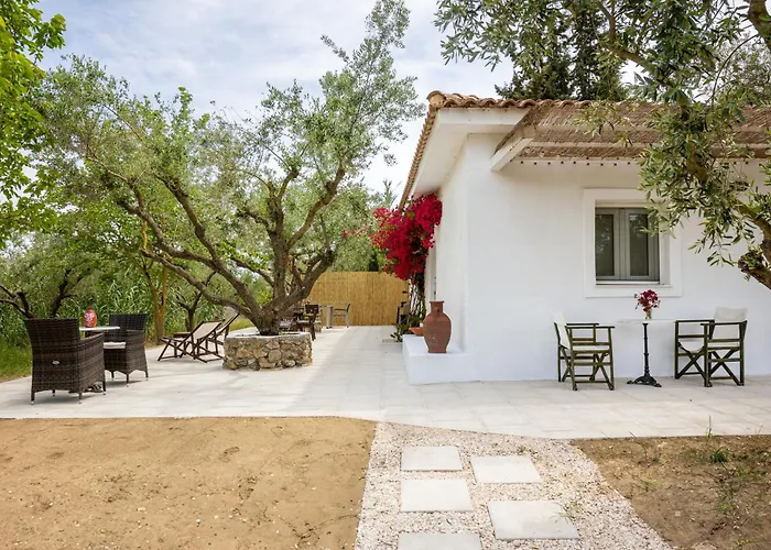 Olive House Hébergement de vacances *
