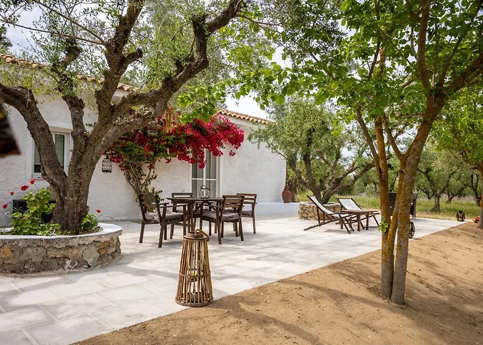 Olive House Kalamákion