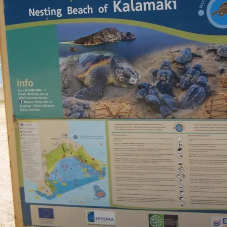 펜션 Olive House *