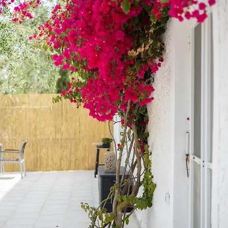 Olive House Holiday home