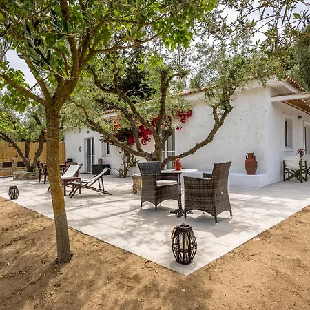 Olive House Kalamákion